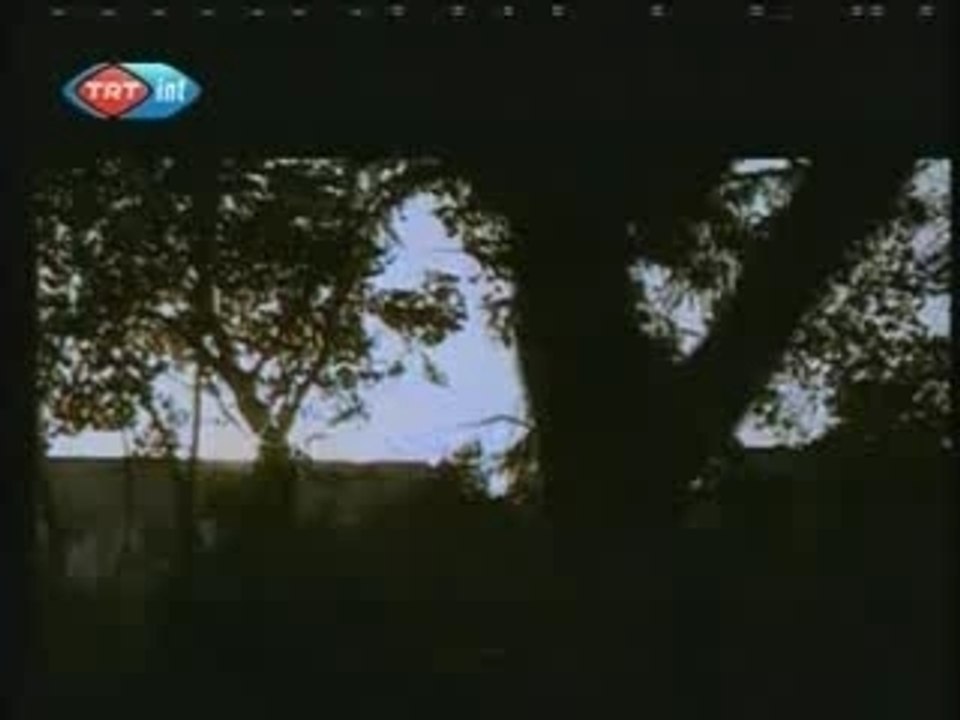 Soner Arica - Sarhos