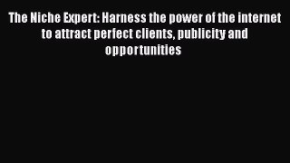 Read The Niche Expert: Harness the power of the internet to attract perfect clients publicity