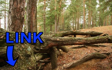 Killing Floor 2 gratuit telecharger