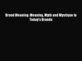 Download Brand Meaning: Meaning Myth and Mystique in Today's Brands Ebook Free