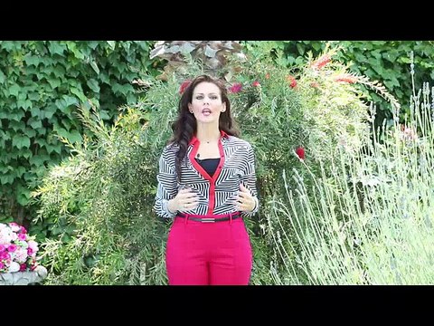 I MIRACOLI SCIENTIFICI DEL CORANO – II