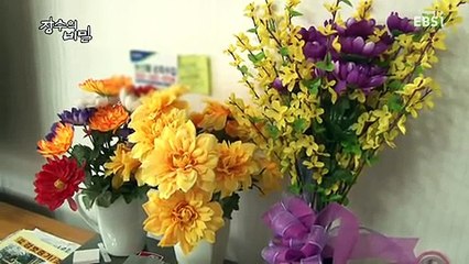 장수의 비밀.E136.160420