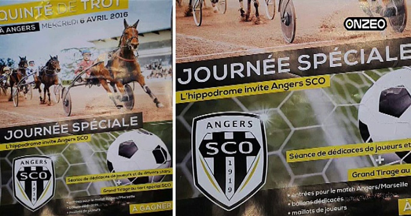 MAG (ASCO) : VISITE À L'HIPPODROME D'ANGERS