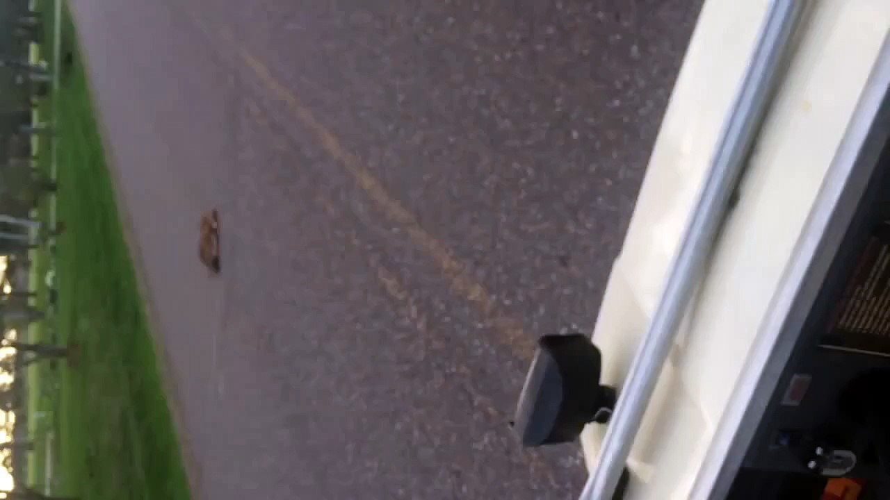 Cet Homme Trouve Un Faon Mais Ce Qui Va Se Passer Va Vous Étonner