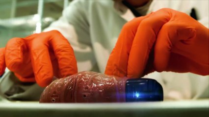 Un corps humain imprimé en 3D