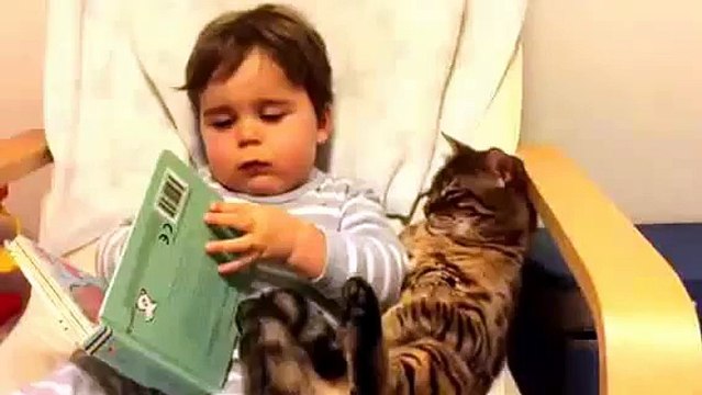 Ce Petit Garçon Est À Féliciter, Regardez Comment Il Traite Son Chat