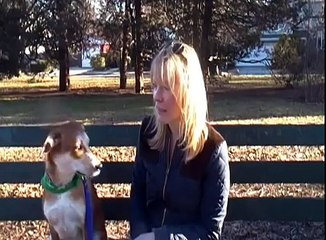 Shawn Hines' Best Buddy Dog Training brings Life changing Results