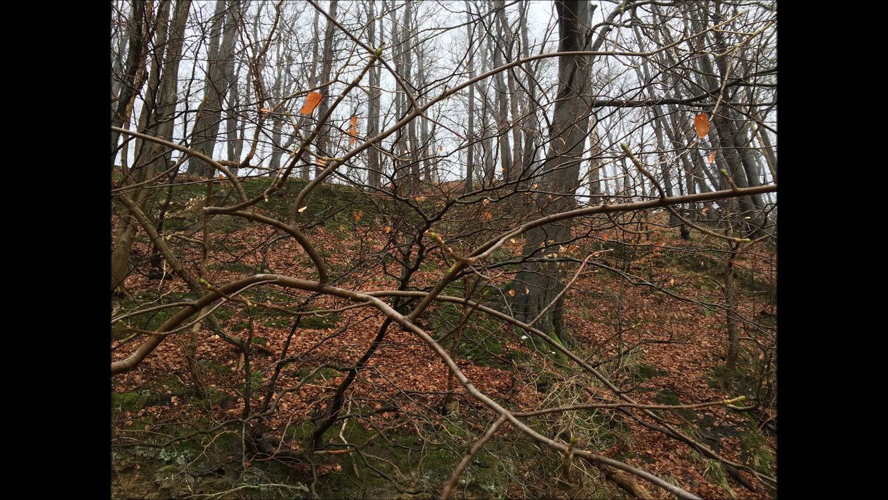 BestandAufnahme - Rügen Januar 2016 /Full Film/Complete Movie/Ganzer Film