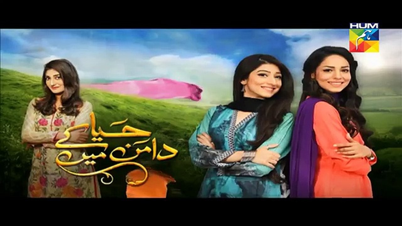 Haya Kay Daman Main Episode 17 Promo HUM TV Drama 20 April 2016