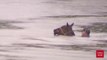 Un homme courageux va sauver des chevaux de la noyade  lors des inondations au Texas