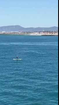 Une baleine saute près d'un paddleboardeur