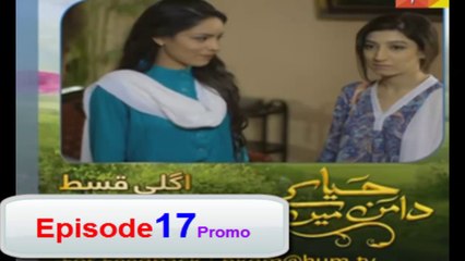 Haya Kay Daman Main Episode 17 Promo HD on  HUM TV 20th April 2016