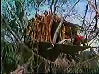 Tarzan and Cheetah love their 1981 Toyota TV Commercial