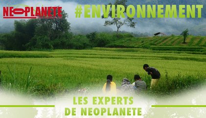 [Les Experts] Le tourisme peut-il être durable ?