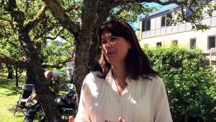 Swedish minister calls 9/11 attacks 'accidents'