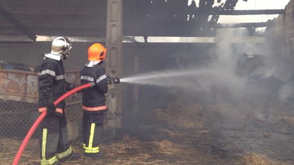 Feu dans un bâtiment agricole