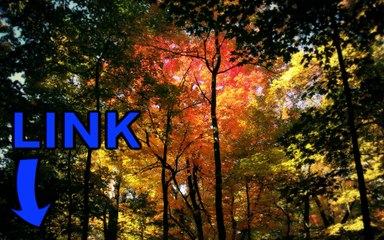 Download BeamNG.drive steam key generator telecharger 2016