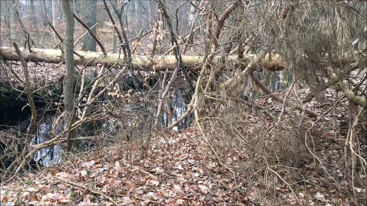 BestandAufnahme - Warnemünde März 2016 /Full Film/Complete Movie/Ganzer Film