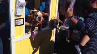 Bea in the OTR Kissing Booth - Sea Witch Festival 2014