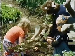 Pusteblume mit Peter Lustig 09 Straßengeschichten