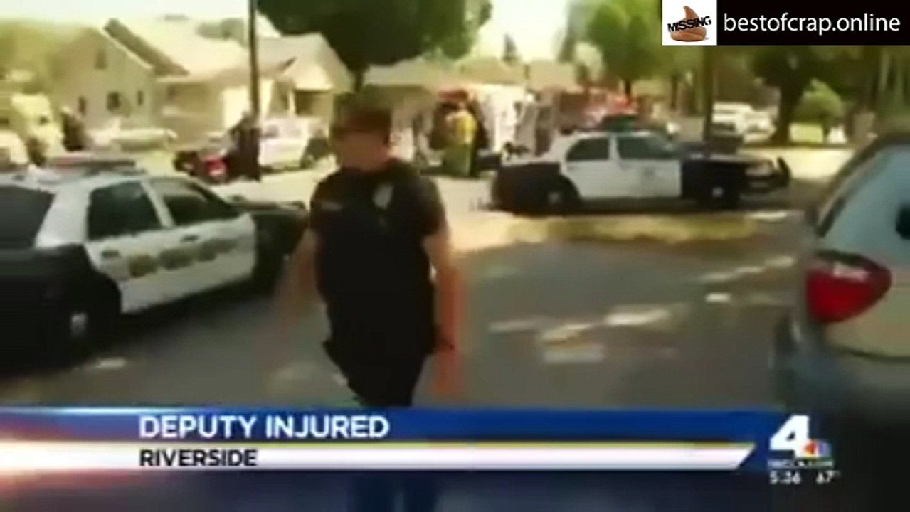 Cop Tries to Shoot Dog, Shoots Himself Instead