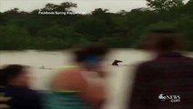 Horses Rescued From Flood Waters in Texas