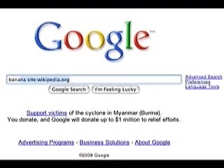 How To Search Only One Site on Google