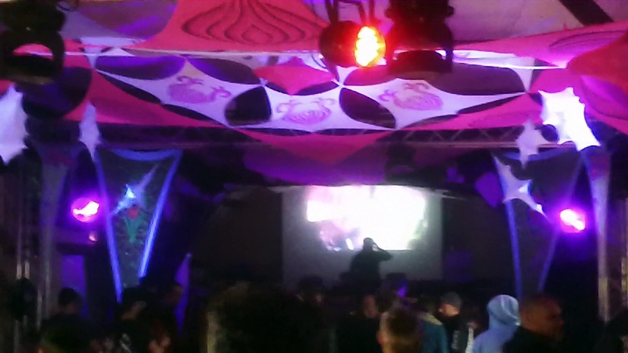 Ragdam@Magnetic Fields (ElectrOhm)