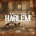 Jim Jones Feat ASAP Ferg – Harlem