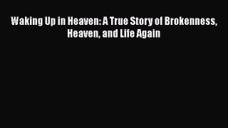 [Read Book] Waking Up in Heaven: A True Story of Brokenness Heaven and Life Again  EBook
