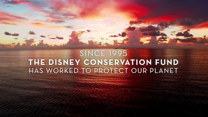 Disney Conservation Fund Celebrates 20-Year Anniversary by Unveiling New Initiative to Protect the Planet
