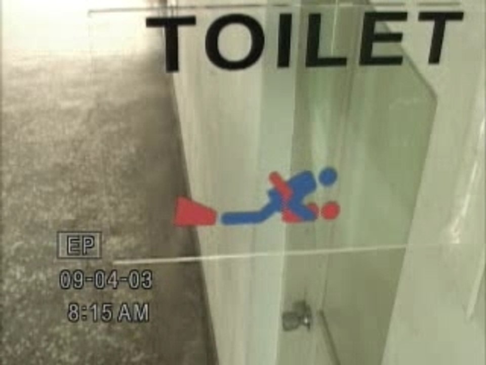 toilet sex