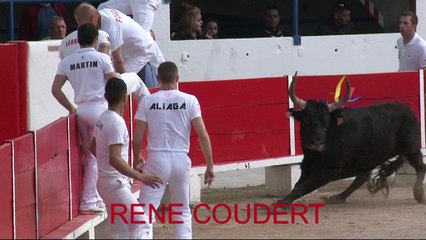 CHATEAURENARD 17 AVRIL2016 BAUCIS SCIPION SAUMADE