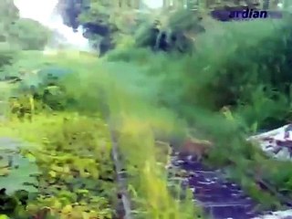 Bloquean tráfico dos trenes en Colima