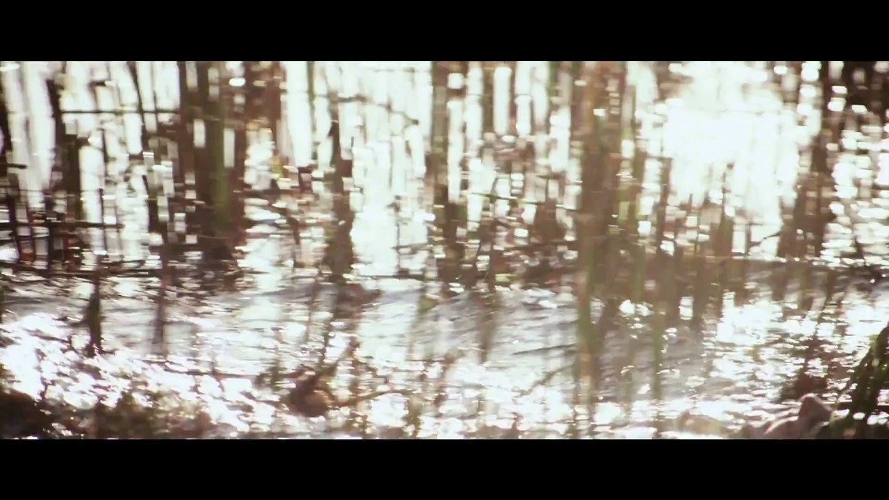 Exilados do Vulcão - Trailer Oficial [HD]