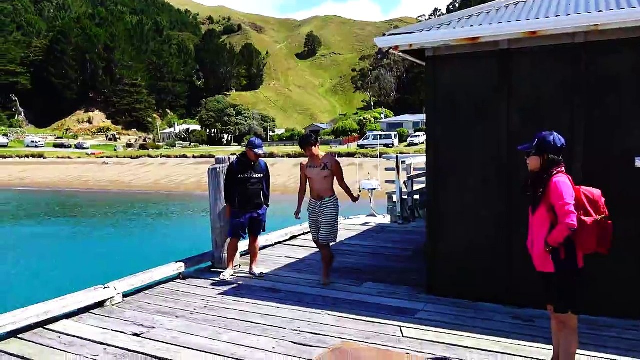 大嘴巴40跳碼頭