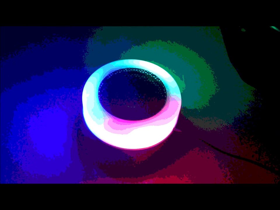 les animaux qui fond rire MDR 