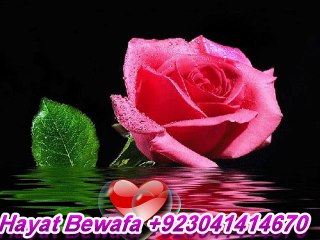 Hum Bewafa Hargiz Na The