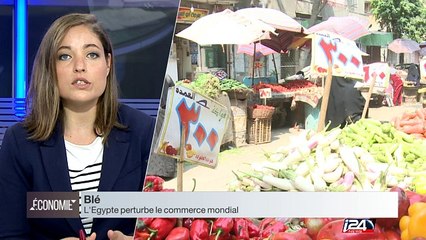 Insolites : l’Égypte et le blé, une histoire millénaire. Avec Joanna Sitruk.