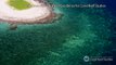 Coral bleaching hits 93% of Great Barrier Reef: scientists