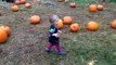My niece picks out her pumpkin