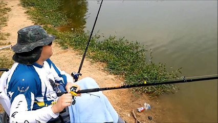 Matrinxã dando um showzinho a parte, no pesqueiro Tio Oscar.