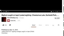 Breakdown Bigfoot Caught On Tape Latest sighting, Cheakamus Lake