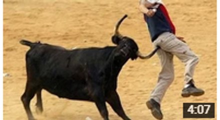 Funny fail compilation video - people getting hurt - around the world