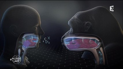 Pourquoi le singe ne parle pas ? - Le monde de Jamy