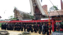 Procession during a Toraja funeral ceremony, Indonesia.MOV