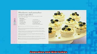 FREE DOWNLOAD  Cupcakes and Mini Cakes READ ONLINE