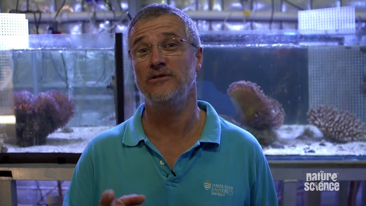 Killer Cone Snails The Nature of Science