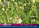 Oko istoka, 20. april 2016. (RTV Bor)