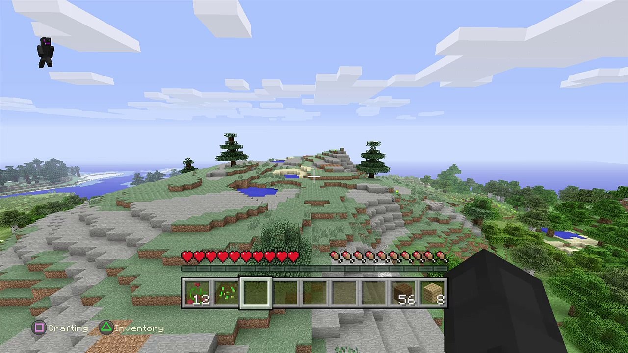 Minecraft: PlayStation®4 Edition_20160331150357